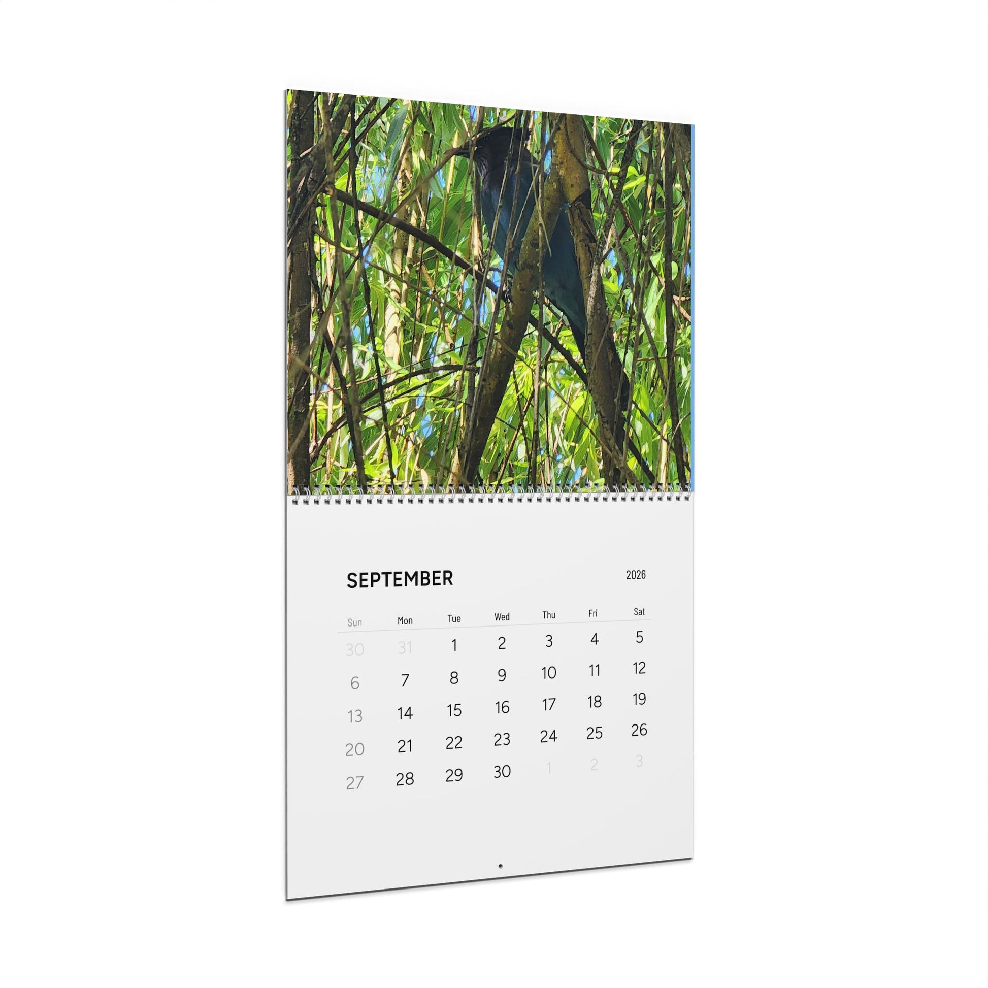 Explore the quiet rhythms of nature themed calendar. Each month blooms with large, vibrant images that capture farmhouse style warmth of watering-can mornings, sun-warmed soil, and late-summer harvests. Flip the sturdy wire coil to reveal a new scene.