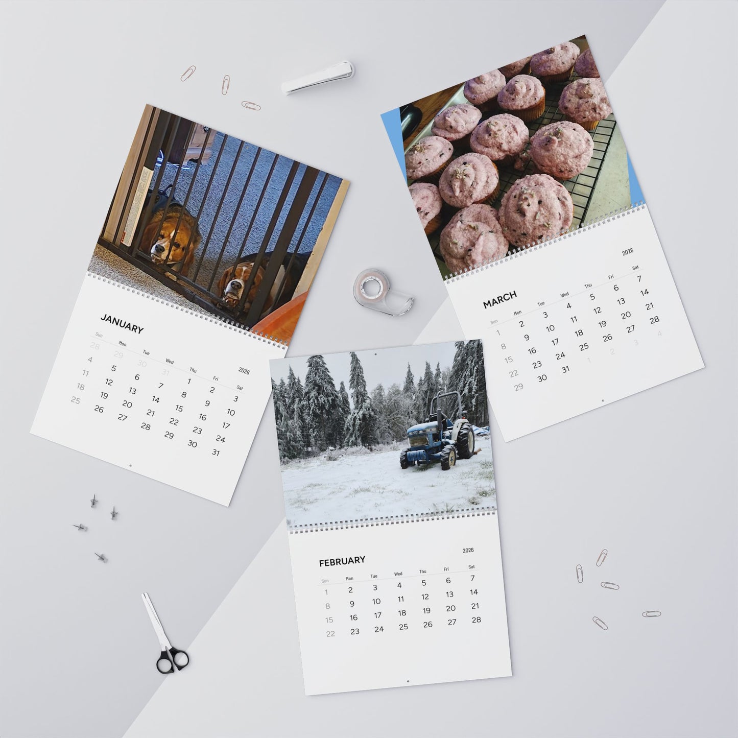Explore the quiet rhythms of nature themed calendar. Each month blooms with large, vibrant images that capture farmhouse style warmth of watering-can mornings, sun-warmed soil, and late-summer harvests. Flip the sturdy wire coil to reveal a new scene.