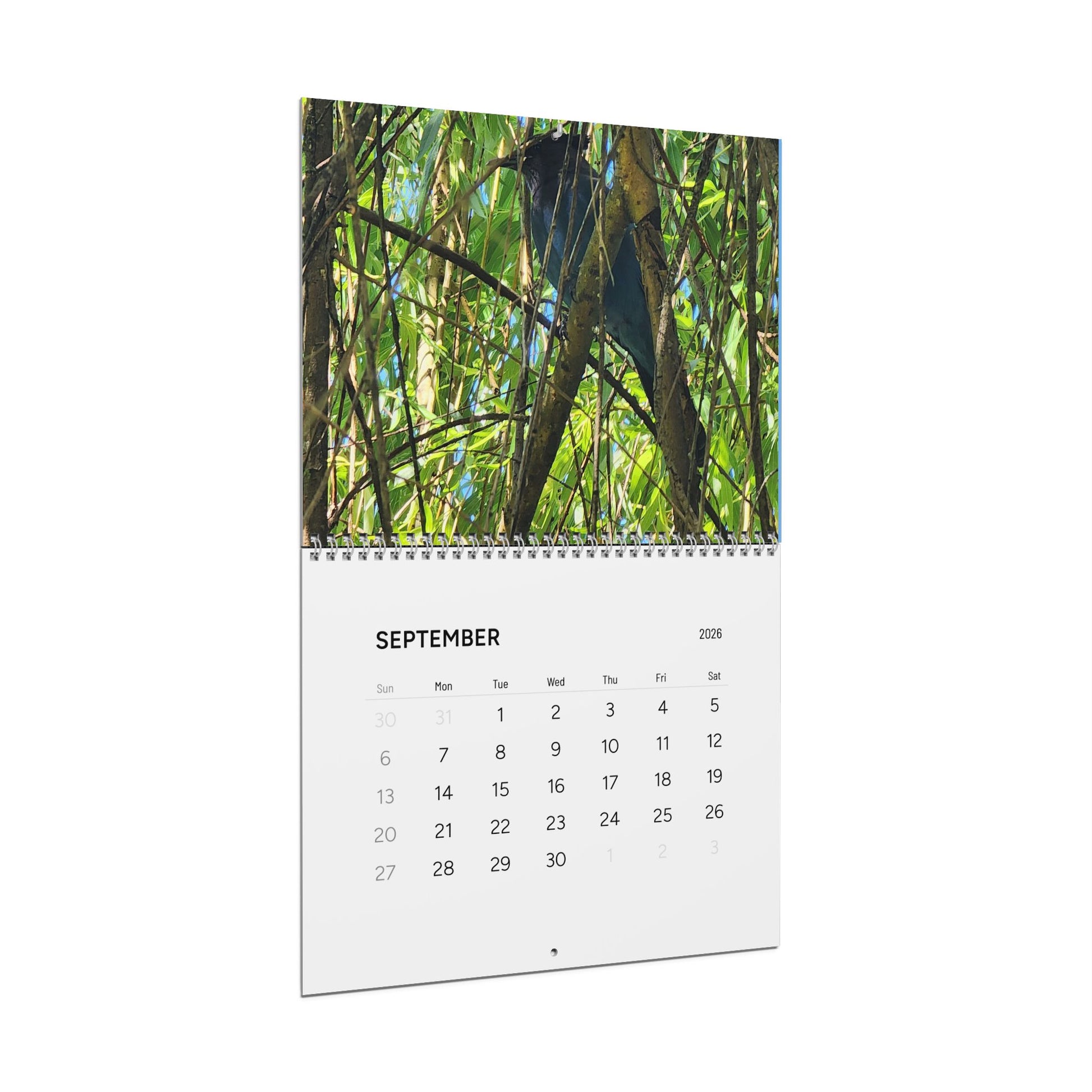 Explore the quiet rhythms of nature themed calendar. Each month blooms with large, vibrant images that capture farmhouse style warmth of watering-can mornings, sun-warmed soil, and late-summer harvests. Flip the sturdy wire coil to reveal a new scene.