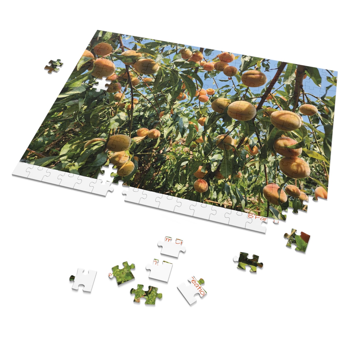 As you embark on this delightful puzzle adventure, you will be greeted by a stunning image of a lush peach tree in full bloom.