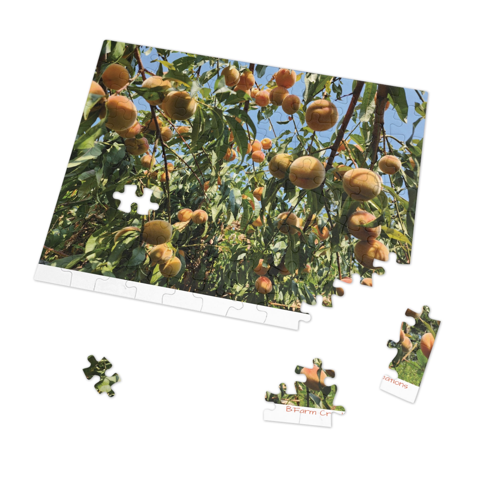 As you embark on this delightful puzzle adventure, you will be greeted by a stunning image of a lush peach tree in full bloom.