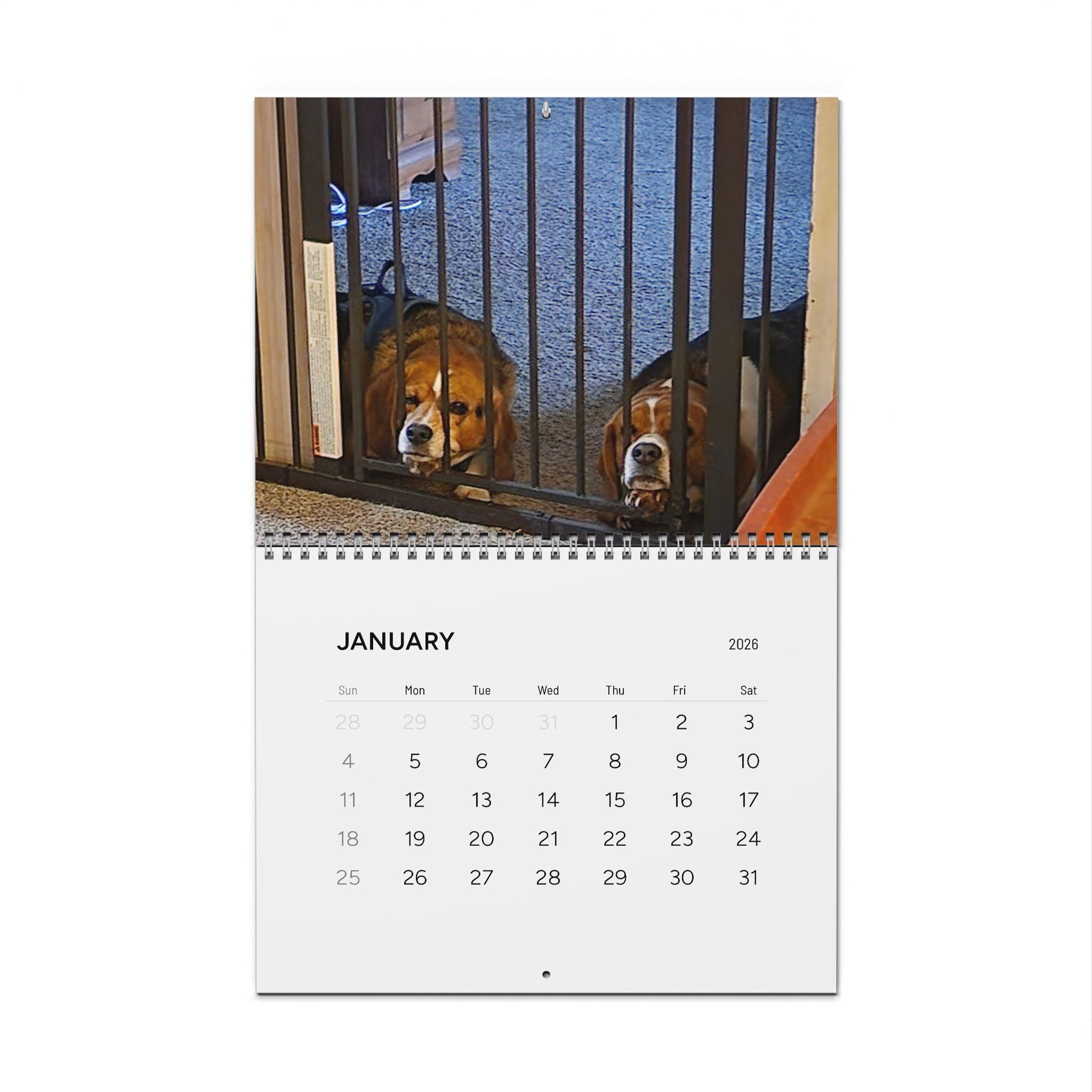 Explore the quiet rhythms of nature themed calendar. Each month blooms with large, vibrant images that capture farmhouse style warmth of watering-can mornings, sun-warmed soil, and late-summer harvests. Flip the sturdy wire coil to reveal a new scene.