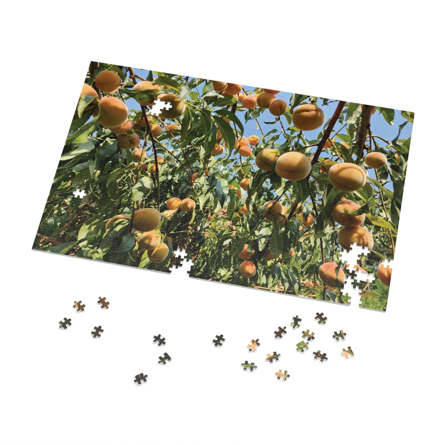 Enjoy hours of fun and relaxation with this peach tree jigsaw puzzle game. Perfect for those who love puzzles and nature enthusiasts. Ideal for gifting during holidays, birthdays, or for a quiet night in.