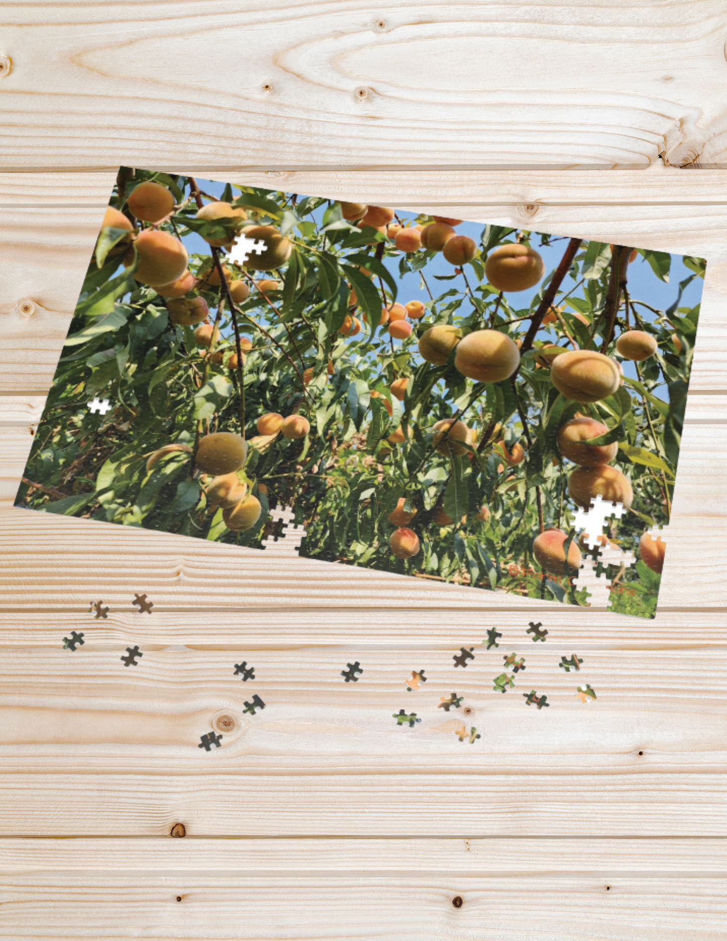 As you embark on this delightful puzzle adventure, you will be greeted by a stunning image of a lush peach tree in full bloom.